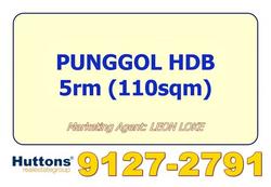 Blk 172C Edgedale Plains (Punggol), HDB 5 Rooms #105389362